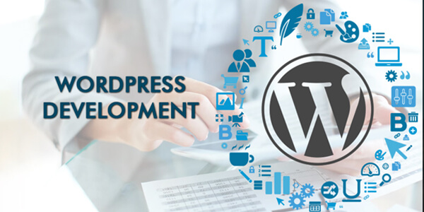 WordPress Plugins